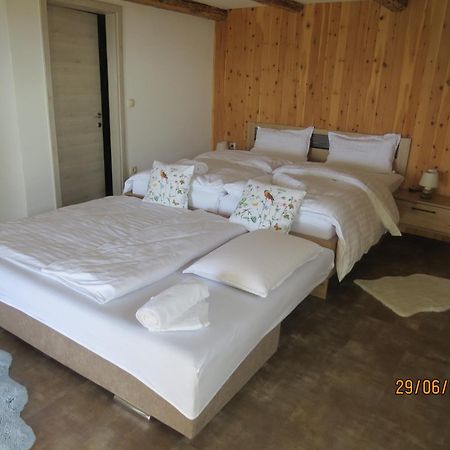 Studio 1111 With Sauna & Hot Tub Dravograd Zewnętrze zdjęcie