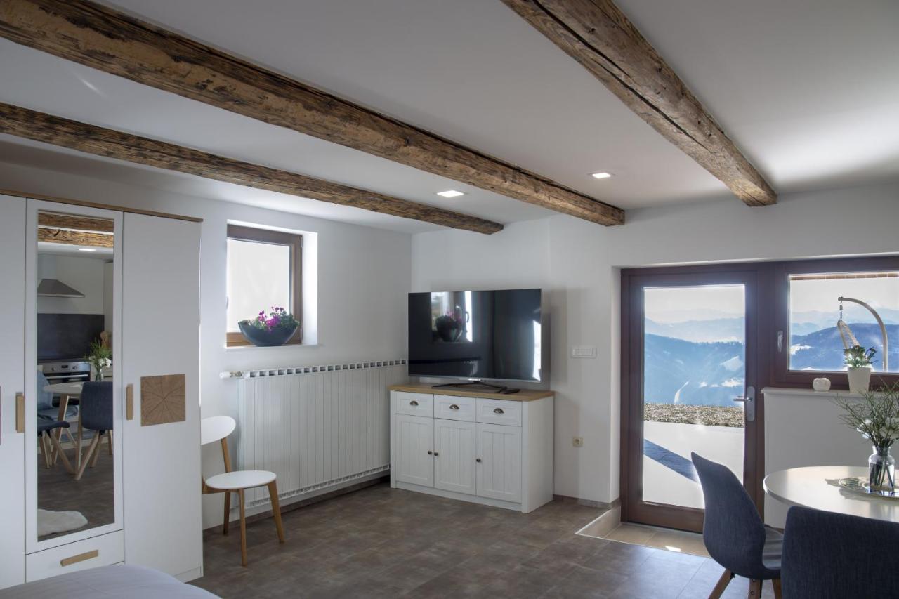 Studio 1111 With Sauna & Hot Tub Dravograd Zewnętrze zdjęcie