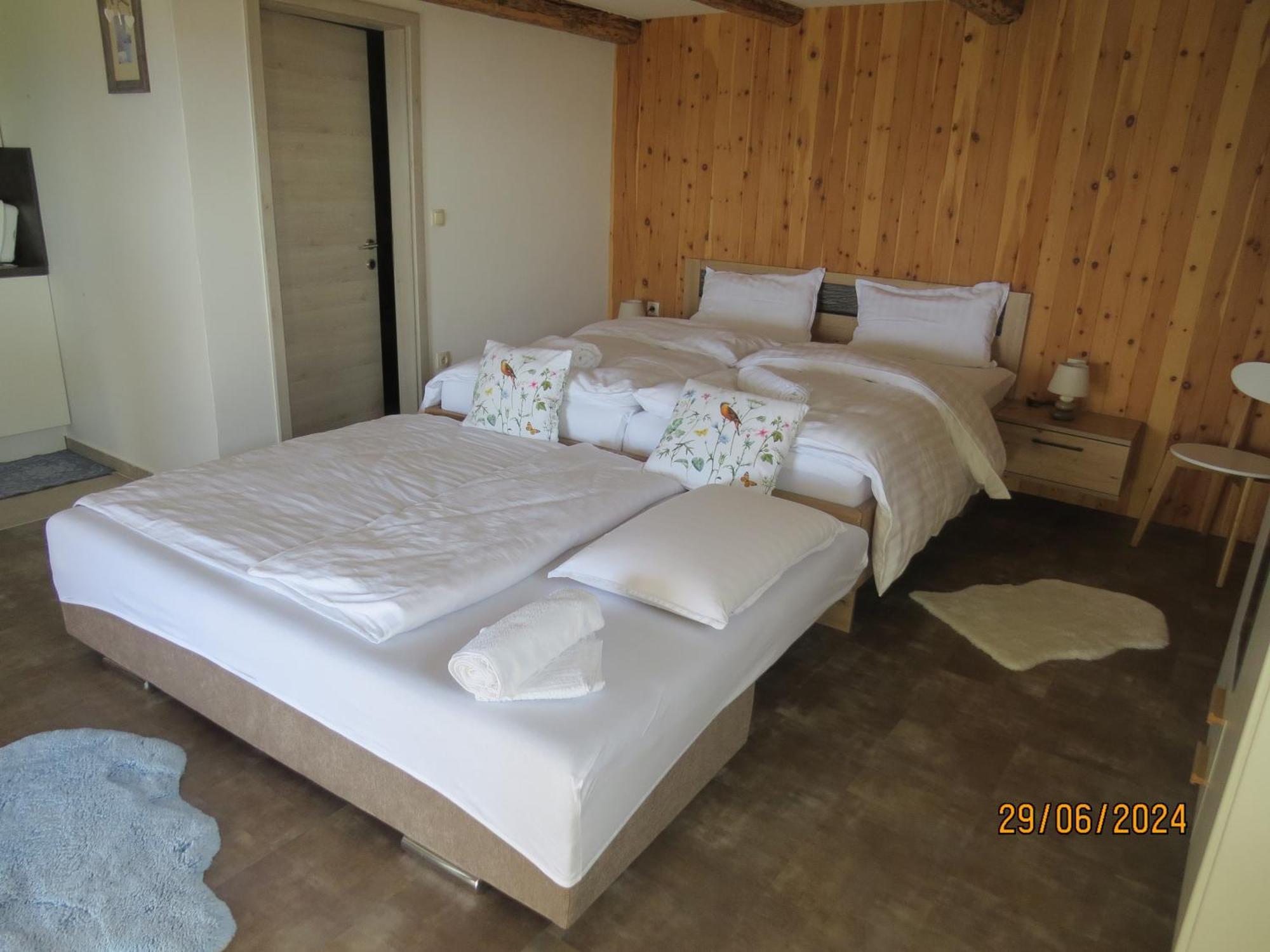 Studio 1111 With Sauna & Hot Tub Dravograd Zewnętrze zdjęcie